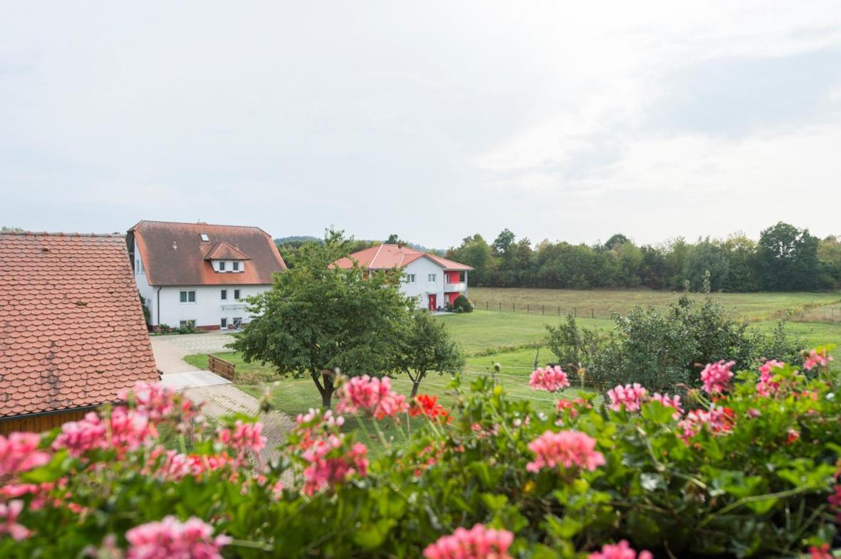 Gasthaus-Pension Hofmann Oberdachstetten Екстер'єр фото